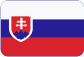 Centrálne mazanie Slovensky